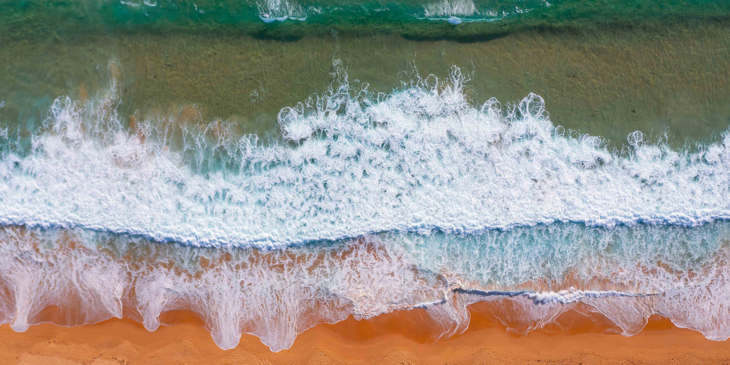 Narrabeen shore